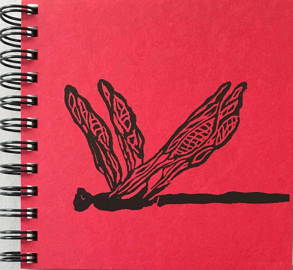 Sketchbook: Red Dragonfly - small - Carol MacDonald